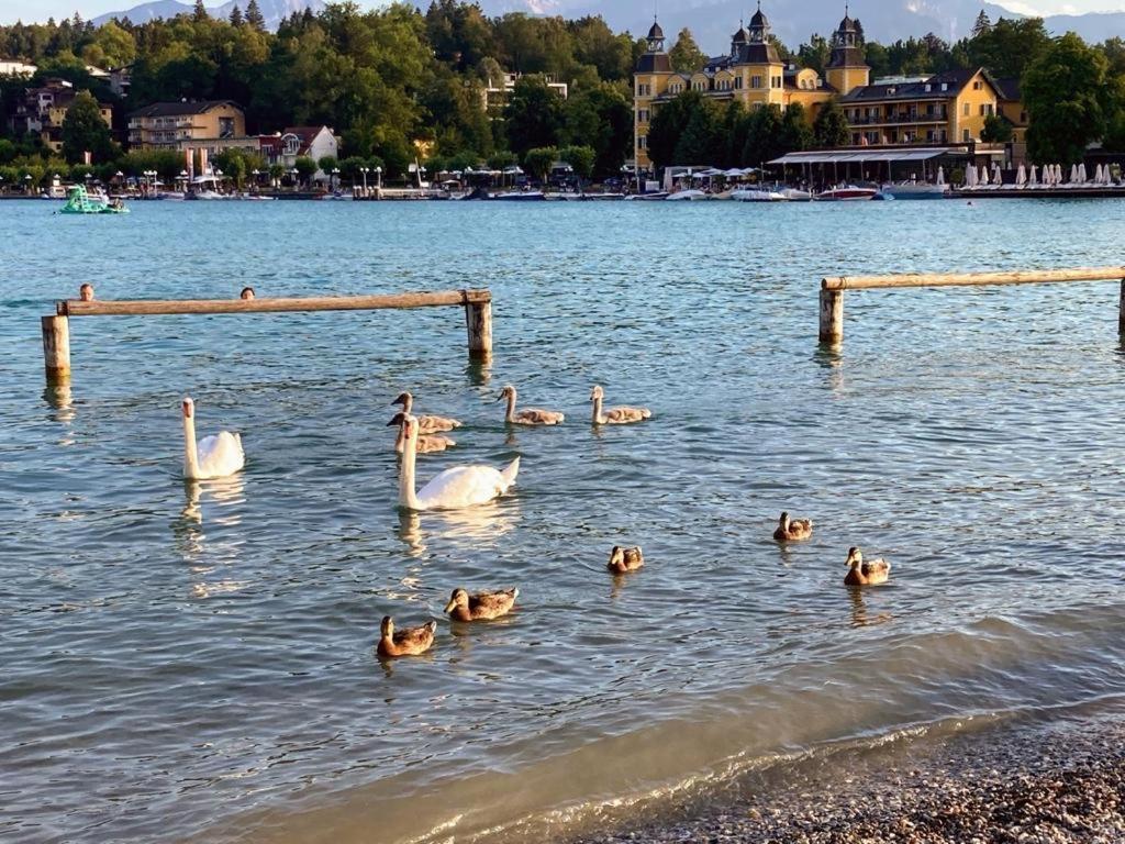 Appartement Mittagskogel Velden am Woerthersee Ngoại thất bức ảnh